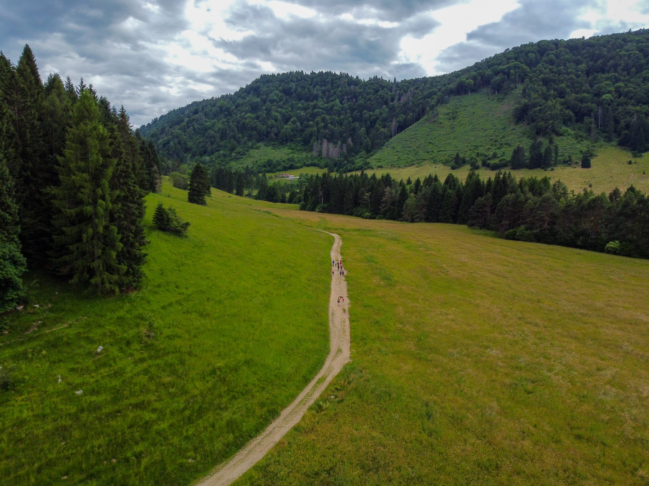Strade fra le colline del Prosecco viste dall'alto