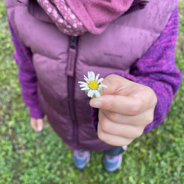 Escursioni per famiglie e bambini curiosi