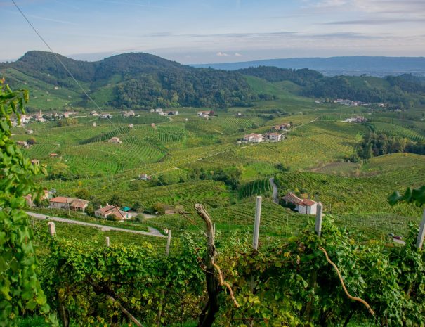 valdobbiadene