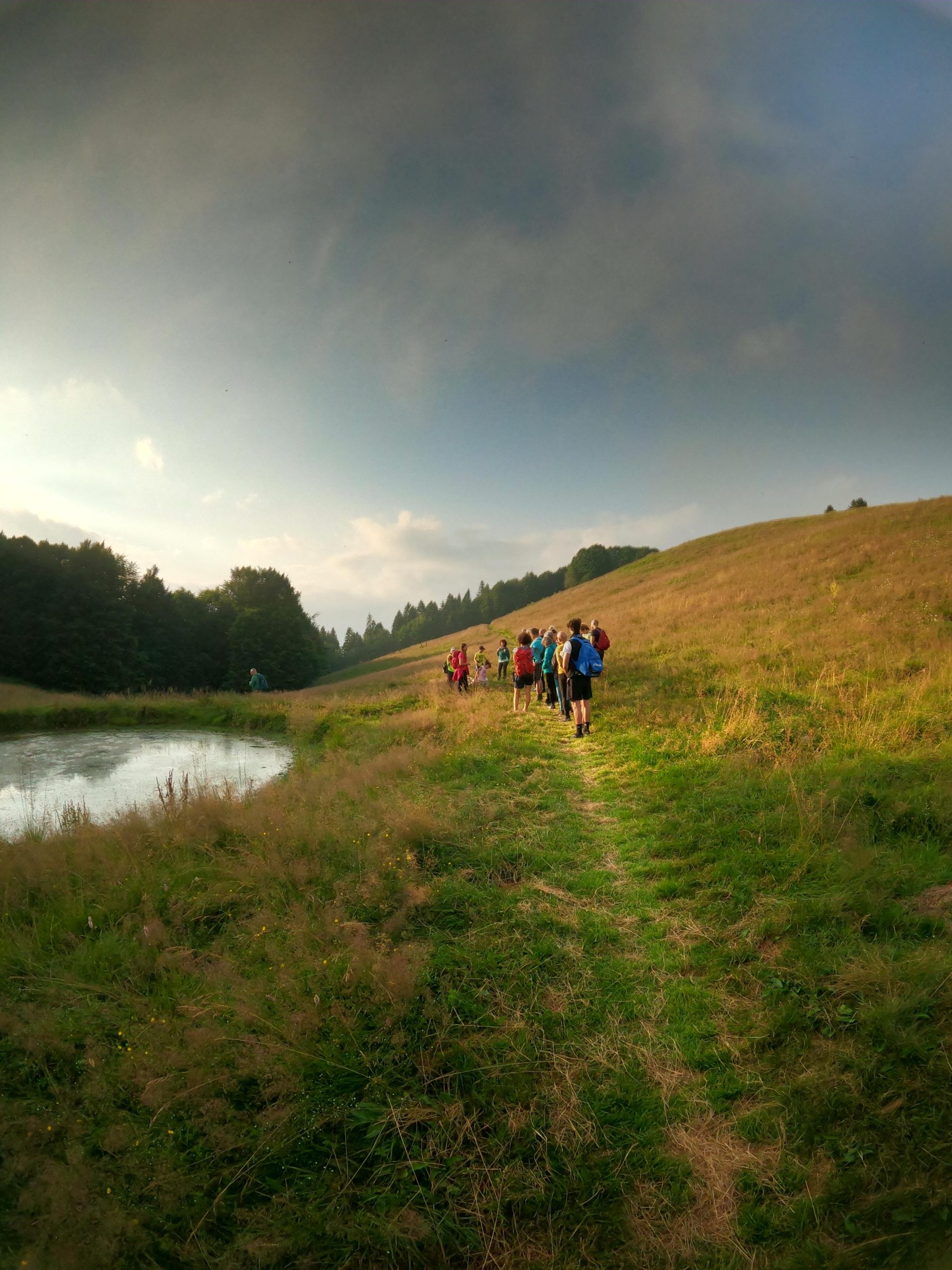 Guided Hikes