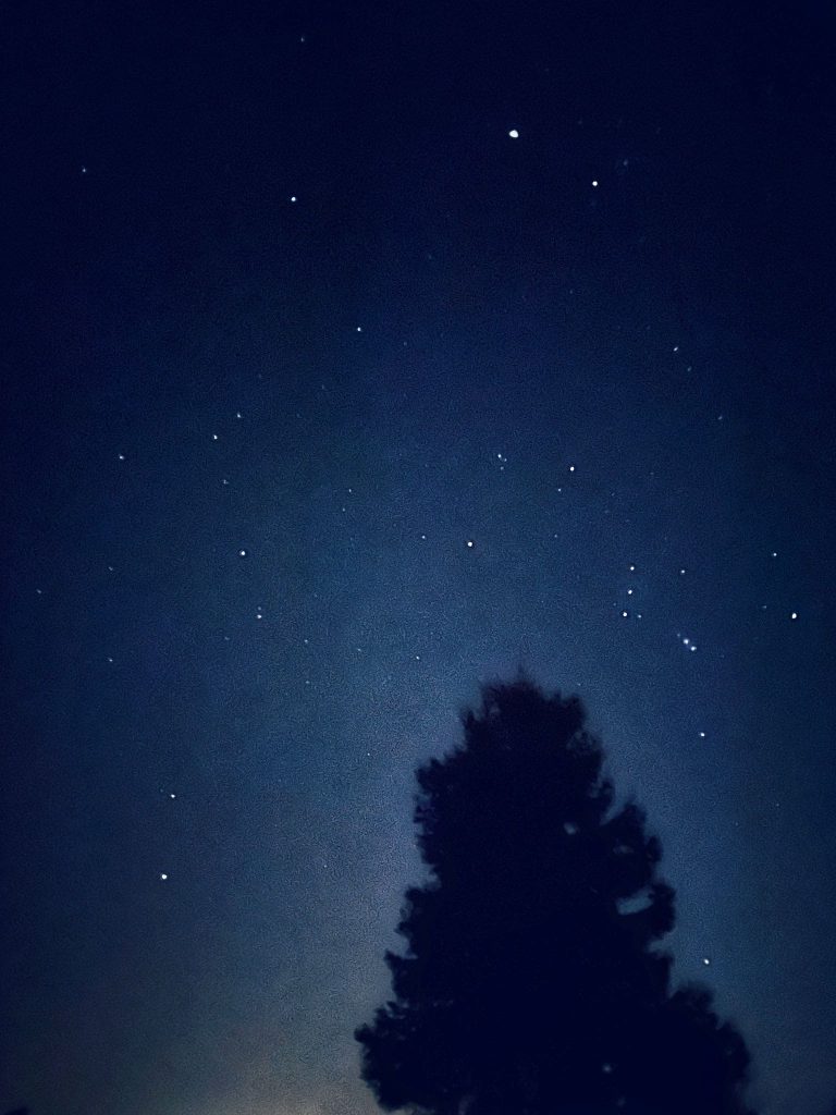 Silhouette del gruppo contro il cielo notturno