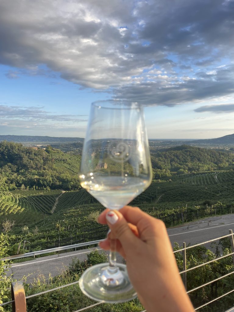 Gruppo in cammino al tramonto fra le colline del Prosecco