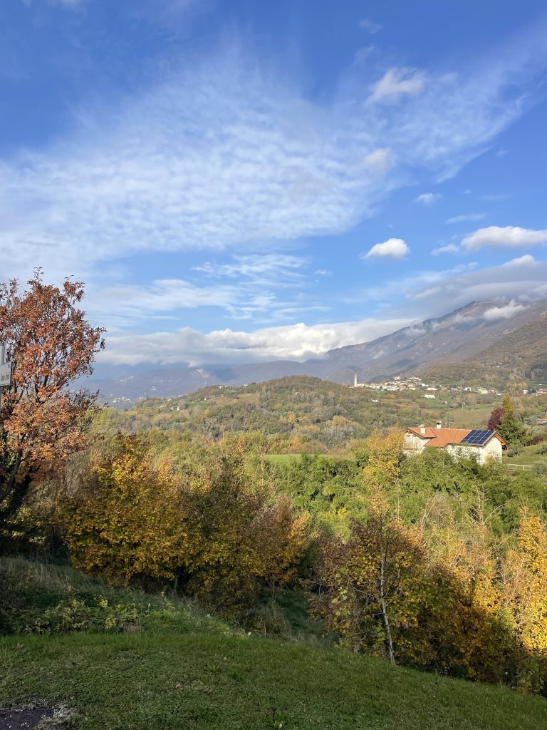 La guida spiega ai bambini gli alberi del bosco