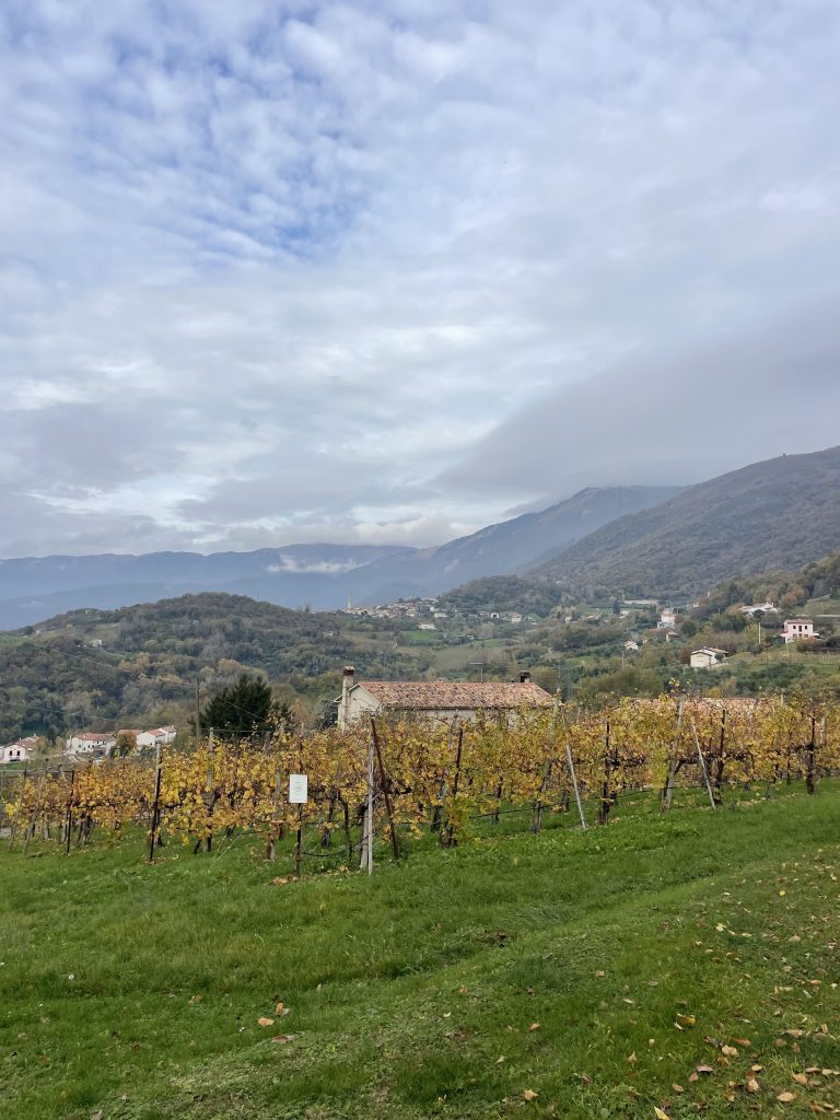 Consegna dell'attestato di Piccolo Esploratore a fine giornata