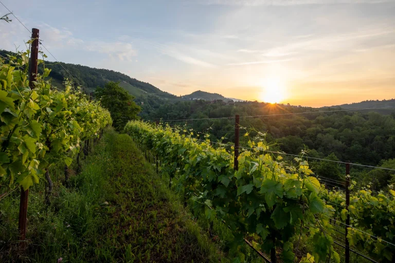 ddd-foto-tramonto (11)_11zon