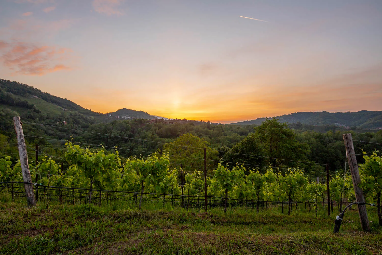 Aperitrekking fra le colline di Conegliano