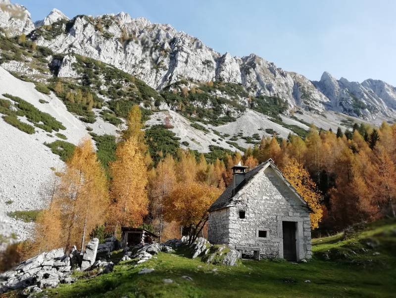 Foliage in Val Salatis, il cuore selvaggio dell’Alpago